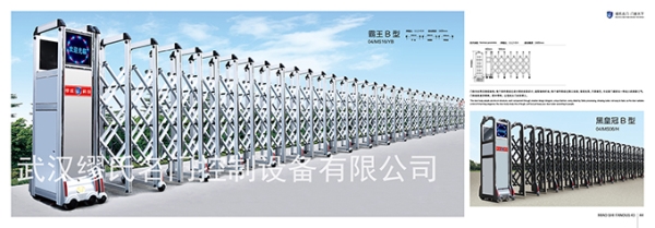 霸王B型電動(dòng)伸縮門(mén)